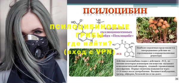 первитин Алексин