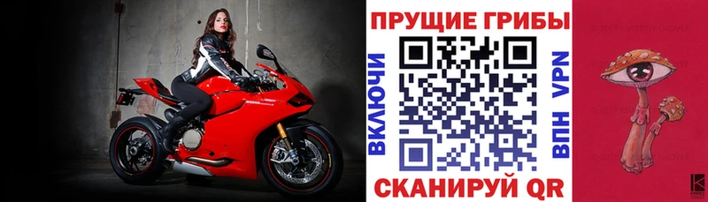 Псилоцибиновые грибы ЛСД  хочу   Алзамай 